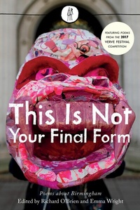 Abbildung von: This Is Not Your Final Form - The Emma Press