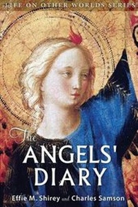 Enlarge image Cover: The Angels' Diary - Square Circles Publishing