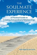 Cover: The Soulmate Experience - A Higher Possibility