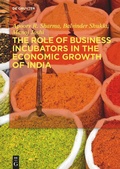 Cover: The Role of Business Incubators in the Economic Growth of India - De Gruyter Oldenbourg