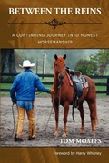 Cover: Between the Reins - Spinning Sevens Press