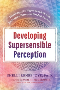 Enlarge image Cover: Developing Supersensible Perception - Simon + Schuster LLC
