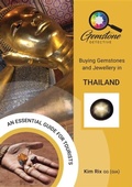 Cover: The Gemstone Detective - Filament Publishing
