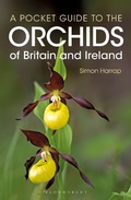 Cover: Pocket Guide to the Orchids of Britain and Ireland - Bloomsbury Wildlife