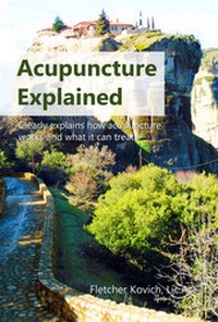 Abbildung von: Acupuncture Explained - CuriousPages Publishing