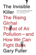 Cover: The Invisible Killer - Melville House UK