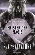 Cover: Die Heimkehr 1 - Meister der Magie - Blanvalet