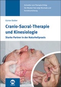 Cover: Cranio-Sacral-Therapie und Kinesiologie - mgo fachverlage