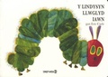 Cover: Lindysyn Llwglyd Iawn, Y / Very Hungry Caterpillar, The - Dref Wen