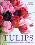 Cover: Tulips - Pavilion