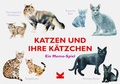 Cover: Katzen und ihre K&auml;tzchen - Laurence King Verlag