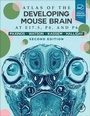 Cover: Atlas of the Developing Mouse Brain - Academic Press