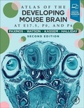 Cover: Atlas of the Developing Mouse Brain - Academic Press