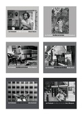 Cover: Lee Friedlander: The Mind and the Hand - Eakins Press,N.Y.