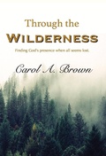 Cover: Through The Wilderness - Lightsmith Publishers