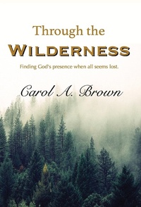 Enlarge image Cover: Through The Wilderness - Lightsmith Publishers