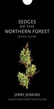 Cover: Sedges of the Northern Forest - Comstock Publishing Associates