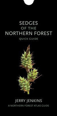Enlarge image Cover: Sedges of the Northern Forest - Comstock Publishing Associates