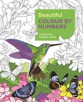 Cover: Beautiful Colour by Numbers - Arcturus