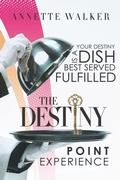Cover: The Destiny Point Experience - Xulon Press