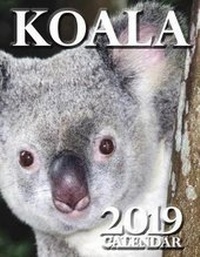 Abbildung von: Koala 2019 Calendar - Wall Publishing