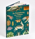 Cover: Die Entstehung des Lebens. Evolution - Prestel