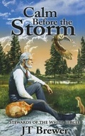 Cover: Calm Before the Storm - JT Brewer