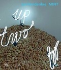 Cover: Jan Henderikse: Mint - Skira