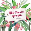 Cover: CD &Uuml;ber Mauern springen - Gerth Medien