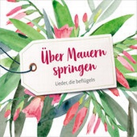 Enlarge image Cover: CD Über Mauern springen - Gerth Medien