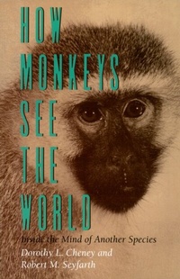 Enlarge image Cover: How Monkeys See the World - University of Chicago Press