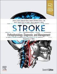 Enlarge image Cover: Stroke - Elsevier