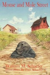 Enlarge image Cover: Mouse and Mole Street - Virtualbookworm.com Publishing