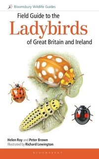 Abbildung von: Field Guide to the Ladybirds of Great Britain and Ireland - Bloomsbury Wildlife