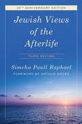 Cover: Jewish Views of the Afterlife - Rowman & Littlefield