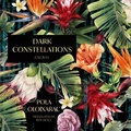 Cover: Dark Constellations - HighBridge Audio