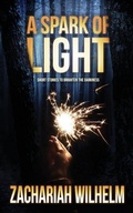 Abbildung von: A Spark of Light: Short Stories to Brighten the Darkness - Independently Published