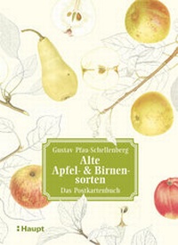 Abbildung von: Alte Apfel- & Birnensorten - Das Postkartenbuch - Haupt Verlag