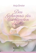 Cover: Das Geheimnis der leuchtenden Stille - tredition