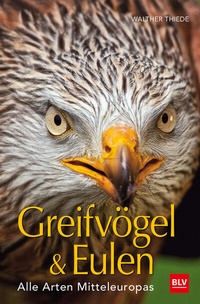 Abbildung von: BLV Greifvögel & Eulen - BLV