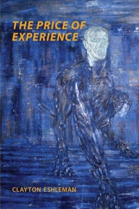 Enlarge image Cover: The Price of Experience - Black Widow Press