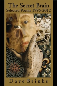 Enlarge image Cover: The Secret Brain - Black Widow Press