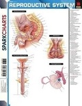 Cover: Reproductive System (Sparkcharts) - Sparknotes