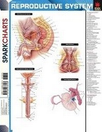 Enlarge image Cover: Reproductive System (Sparkcharts) - Sparknotes