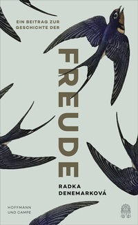 Abbildung von: Ein Beitrag zur Geschichte der Freude - Hoffmann & Campe