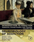 Bild: Introduction to Addiction: Volume 1 - Academic Press