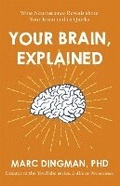 Cover: Your Brain, Explained - Nicholas Brealey Publishing