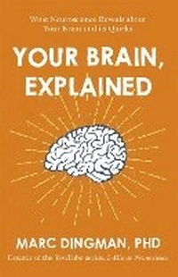 Enlarge image Cover: Your Brain, Explained - Nicholas Brealey Publishing