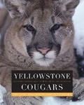 Cover: Yellowstone Cougars - University Press of Colorado