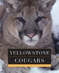 Enlarge image Cover: Yellowstone Cougars - University Press of Colorado
